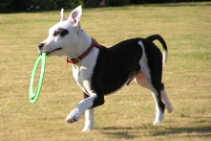 (2003-08) Vacances  la maison